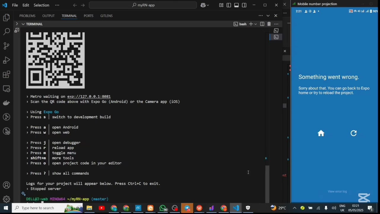 Something went wrong expo Go - Reactnative app development
