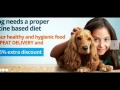 Buy dog accessories online in India. Huge selection of  best pet accessories