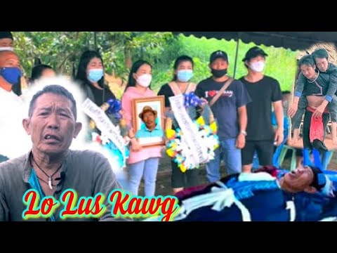 Video: 13 Ntsej Muag Kom Txhob Nquag Cov Tsiaj Los Ntawm Philippine DEA Txog Kev Txais Yuav