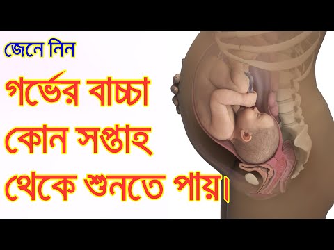 ভিডিও: গর্ভাবস্থায় শিশু কখন শুনতে শুরু করে?