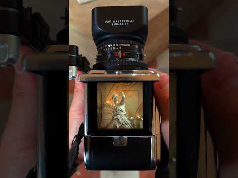 Hasselblad 500CM | A Viewfinder into Timeless Architecture