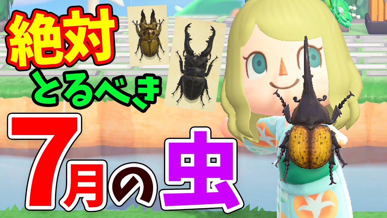 あつ森 7月の虫を全て紹介 大量のレアな虫をコンプしながら買取値段 や効率的な捕まえ方を解説 ギラファノコギリクワガタやオウゴンオニクワガタもこれでゲット あつまれどうぶつの森 Youtube