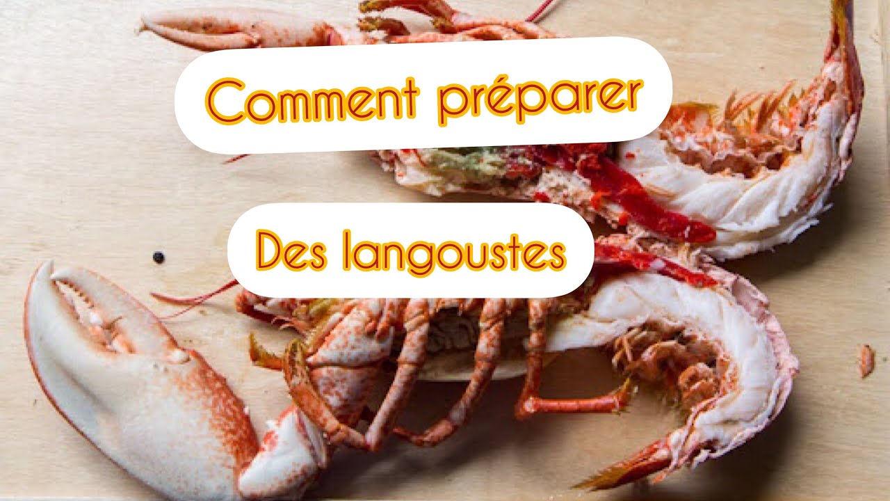 Araignée à friture en inox Mathon main image 1