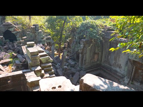 柬埔寨 暹粒 吳哥窟遺跡  外圈- 崩密列 |  Landscape view of Beng Mealea in Siem Reap, Cambodia