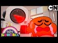 Gumball | Bobert Terminate Gumball Or Whatever | Cartoon Network