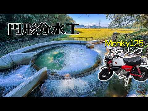 Tatsuya様 3点 タツヤ様 リクエスト 2点 まとめ商品 Tatsuya様