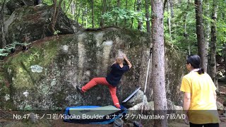 [瑞牆ボルダーの易しいの1] チチタケ ナラタケ クリタケ V0 lines in Mizugaki Boulder