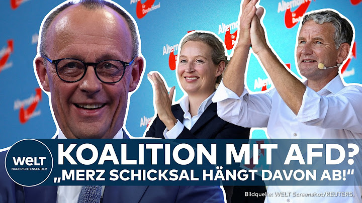 FRIEDRICH MERZ: Brandmauer gefallen? Koalition mit AfD? Aktuelles CDU-Dilemma mit Koalitionsoptionen