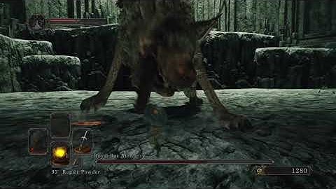 Royal Rat Authority - SL1 NG+7 CoC +0 Weapons No Roll/Block/Parry/RTSR/Buffs