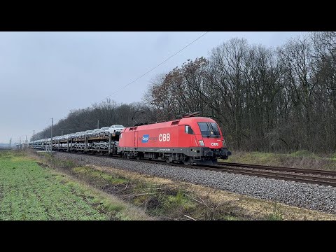 1116 001 Taurus
