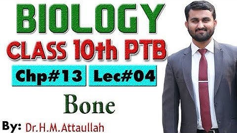 Bones | Chapter # 13 | Biology Class 10th | Lec.# 04
