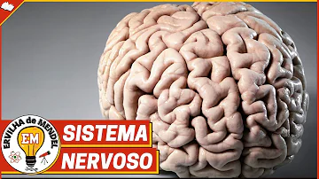 Como ocorre a integração do SNC com o SNP?