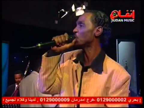 محمود عبدالعزيز غزال القوز