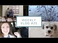 How We Run Our Etsy Shop + Home Improvement Projects  | Weekly Vlog #25 | February 21-27, 2018