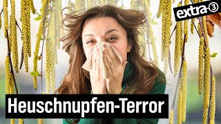 Klimakrise: Schlecht für Insekten, gut für Allergien | extra 3 | NDR