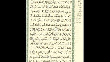 الورد اليومى.. سورة آل عمران من الاية 23 الى الاية 29 بصوت القارئ الشيخ ماهر المعيقلى