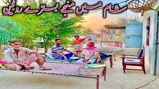 Sham Mein Manjy Bistry Routine || Happy Village Family