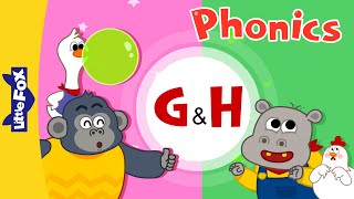 Phonics | Letter g & h | Letter and Sound | Stories & Songs | Little Fox