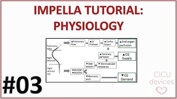 IMPELLA PHYSIOLOGY: IMPACT ON LEFT AND RIGHT VENTRICLE (IMPELLA GUIDE 003)