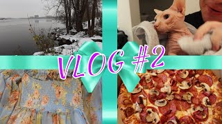 VLOG | Winter Wonderland, Washing Kitty &amp; Cleaning the Apartment
