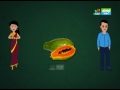Info guru  amazing facts about papaya
