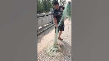 Throw net hawaii, Unbelievvable Cast net fishing Video Catching Lot of fish 9