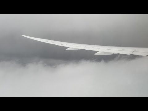 Video: United Airlines IAD-da hansı terminaldır?
