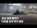 강남 일대 침수 물난리 속 SNS 달군 서초동 현자 