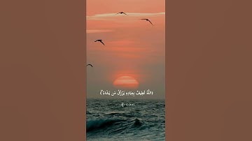 (اللَّهُ لَطِيفٌ بِعِبَادِهِ)  القارئ عبدالله الموسى