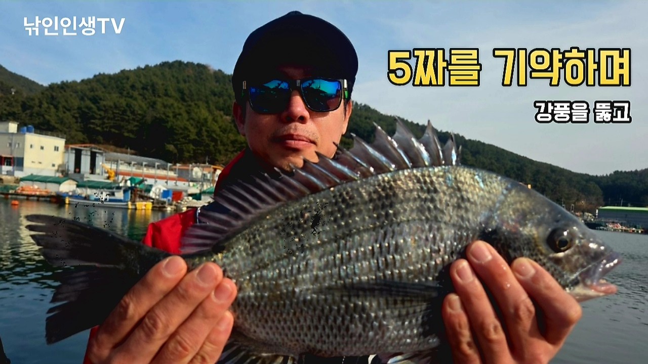 명절 연휴  감성돔 짬낚시[EP.03]