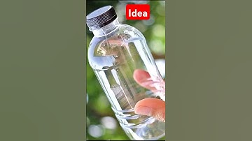 Plastic Bottle Recycling Ideas You