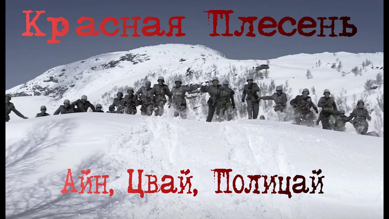 Красная Плесень Айн, цвай, полицай! - YouTube