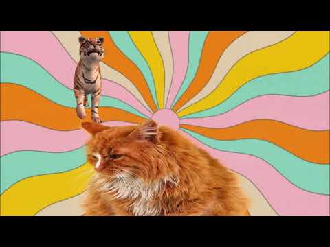 supercoolvideo