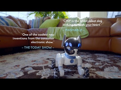 Hey CHiP - The Obedient Robot Dog