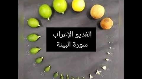 إعراب سورة البينة
