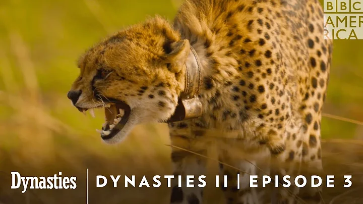 Dynasties II | Episode 3 | Watch on BBC America