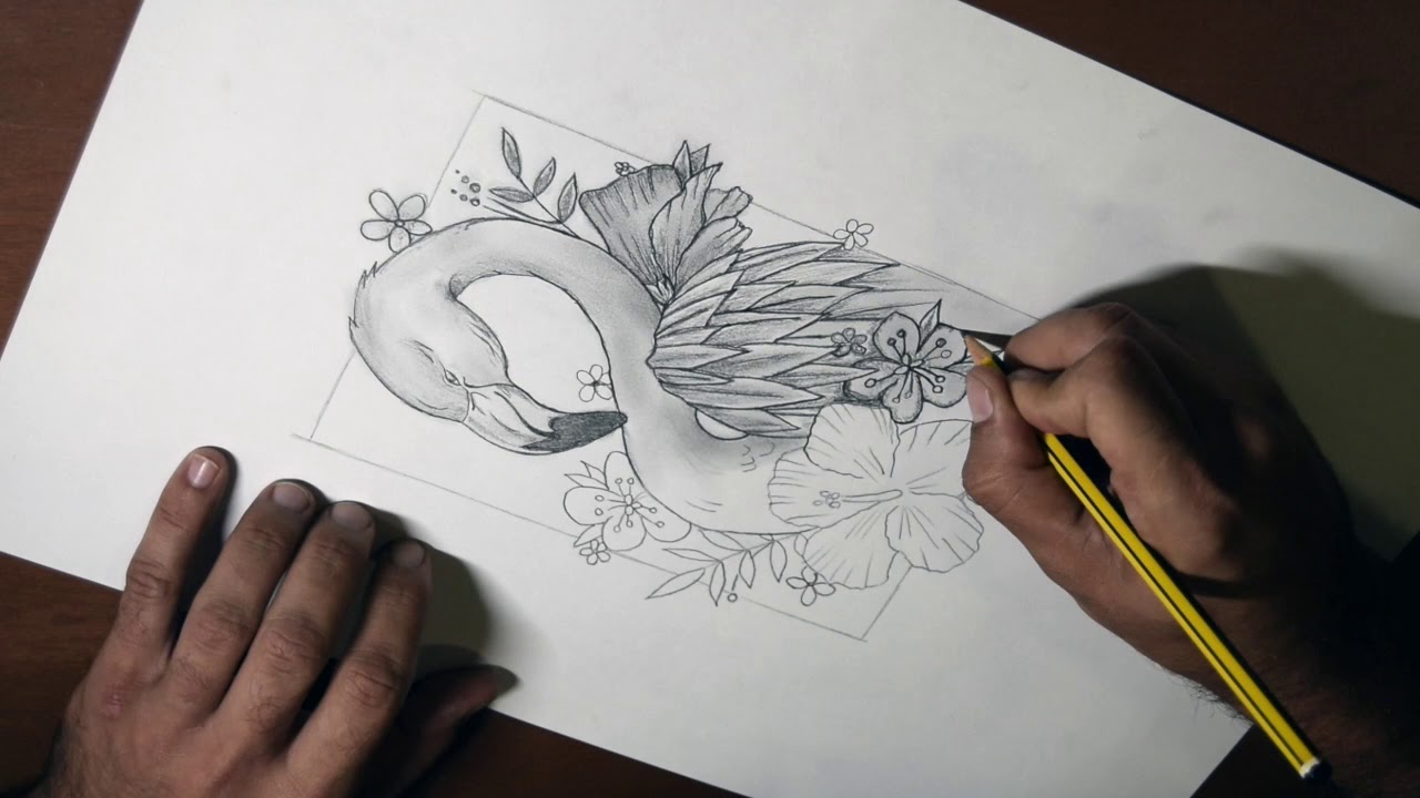 ACTIVIDAD 4 DIBUJO A LAPIZ - YouTube