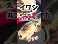 イワシを頭から尻尾まで丸ごと食べる方法