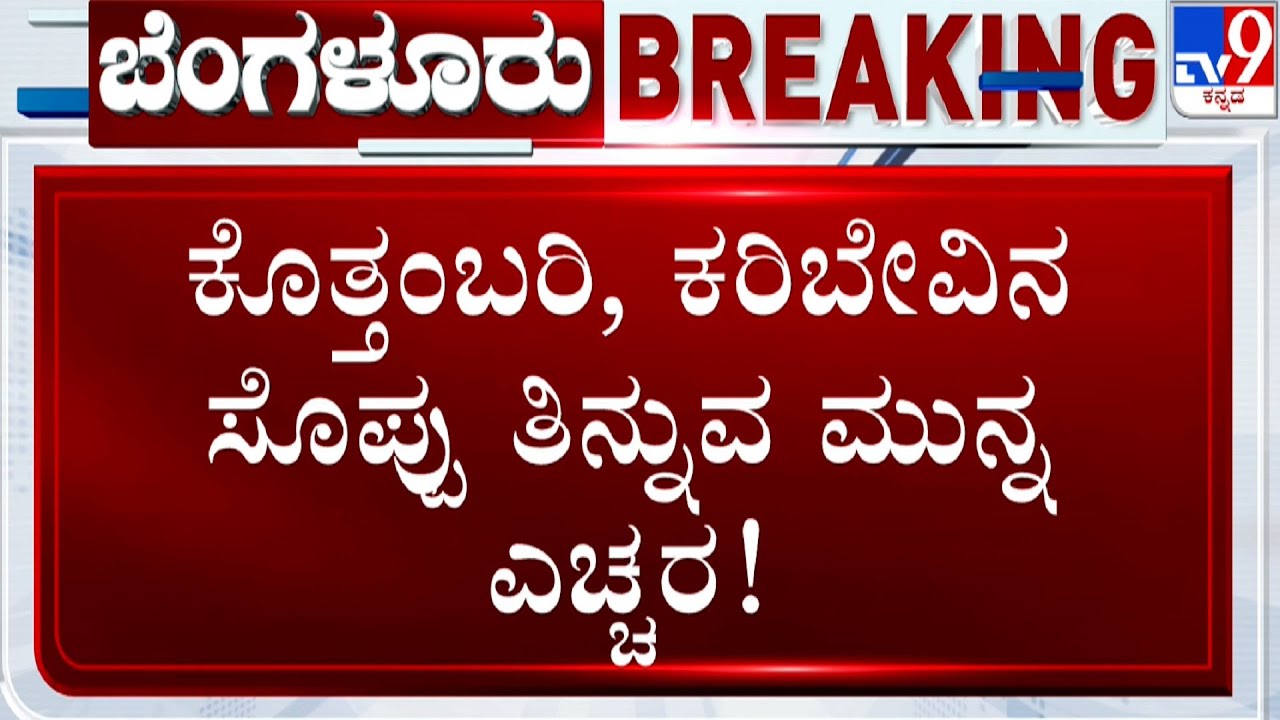 TV9 Reality Check in KR Market | ಕೊತ್ತಂಬರಿ, ಕರಿಬೇವು ಬಳಸ್ತಿರೋ ಗೃಹಿಣಿಯರೇ ಹುಷಾರ್