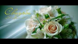 24.04.2015 Видеосъемка свадеб. Бердянск, Запорожье, Куйбышев 24.04.2015 Видеосъемка свадеб. Бердянск, Запорожье, Куйбышев
