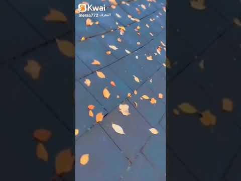 اغنية محبوب قلبك بالهوى سميتني حالات واتس اب خريف أرجو متابعتي 