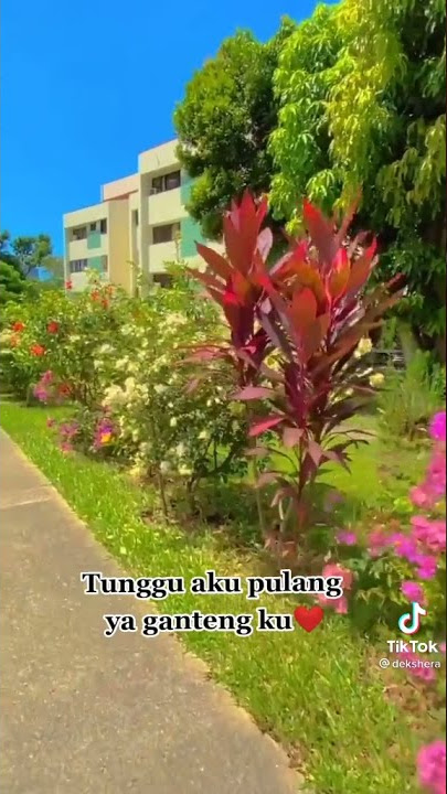 pejuang LDR indonesia singapore 😍
