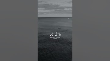 وقالوا اتخذ الرحمن ولدا - القارئ { عبد الرحمن مسعد } 😌