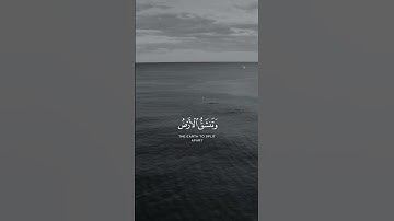 وقالوا اتخذ الرحمن ولدا - القارئ { عبد الرحمن مسعد } 😌