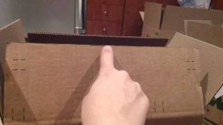 Sphinx cat in a box by Katia Shifrin 1,047 views 12 years ago 54 seconds