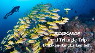 Download Lagu Coral Triangle Trip | Bunaken • Bangka-Likupang • Lembeh | North Sulawesi by Tagaroa Dive MP3
