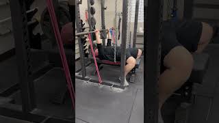 5 Board press Vs Mini Bands 5 Board press Vs Mini Bands