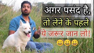 Indian spitz / Pomeranian dog लेन के पहले ये जानकारी ले लो! by Pomtoy Anurag 16,354 views 4 months ago 6 minutes, 27 seconds