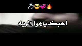 احـبـك يـانـبـض گـلـبـي|❤️🥺|حالات واتساب حب تخبل مقاطع حب ستوريات حب🙈💜 اشعار حب 💞😻