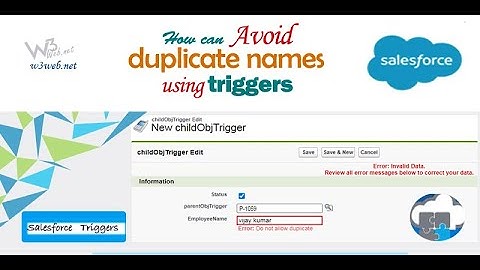 Write a Apex Trigger to Check Duplicate Name on Custom Object in Salesforce.